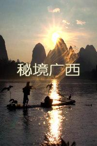 小猫钓鱼正版下载中文版